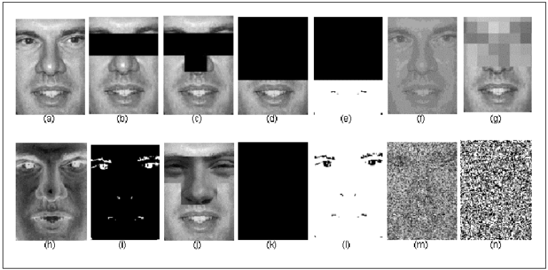 Pic Identification: Easy Tips for Accurate Results